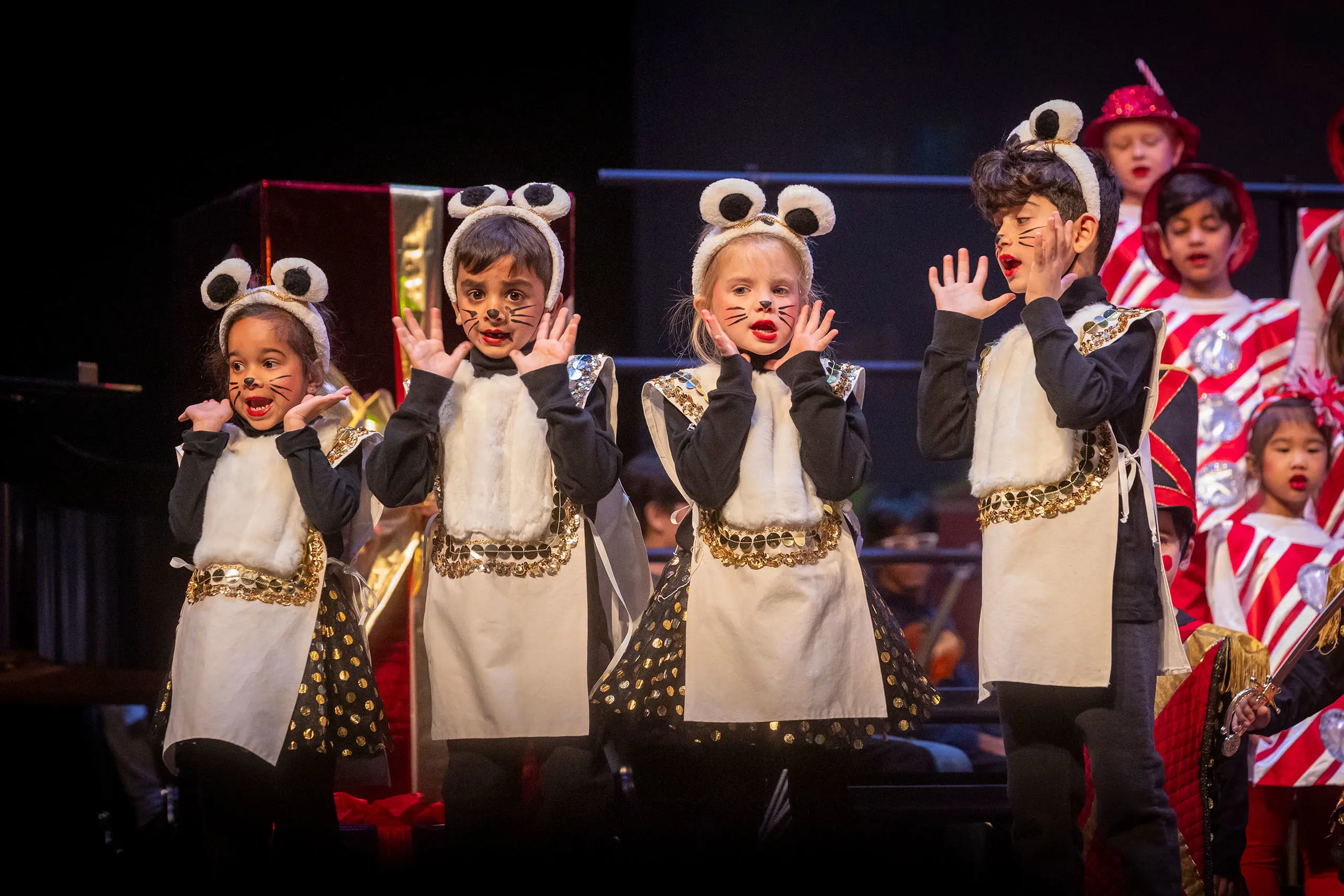 OptimizedImage,,,Optimized