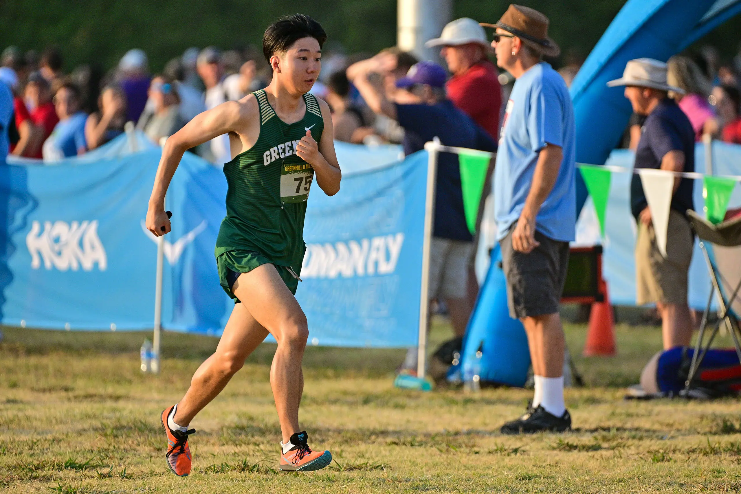 OptimizedImage,Optimized