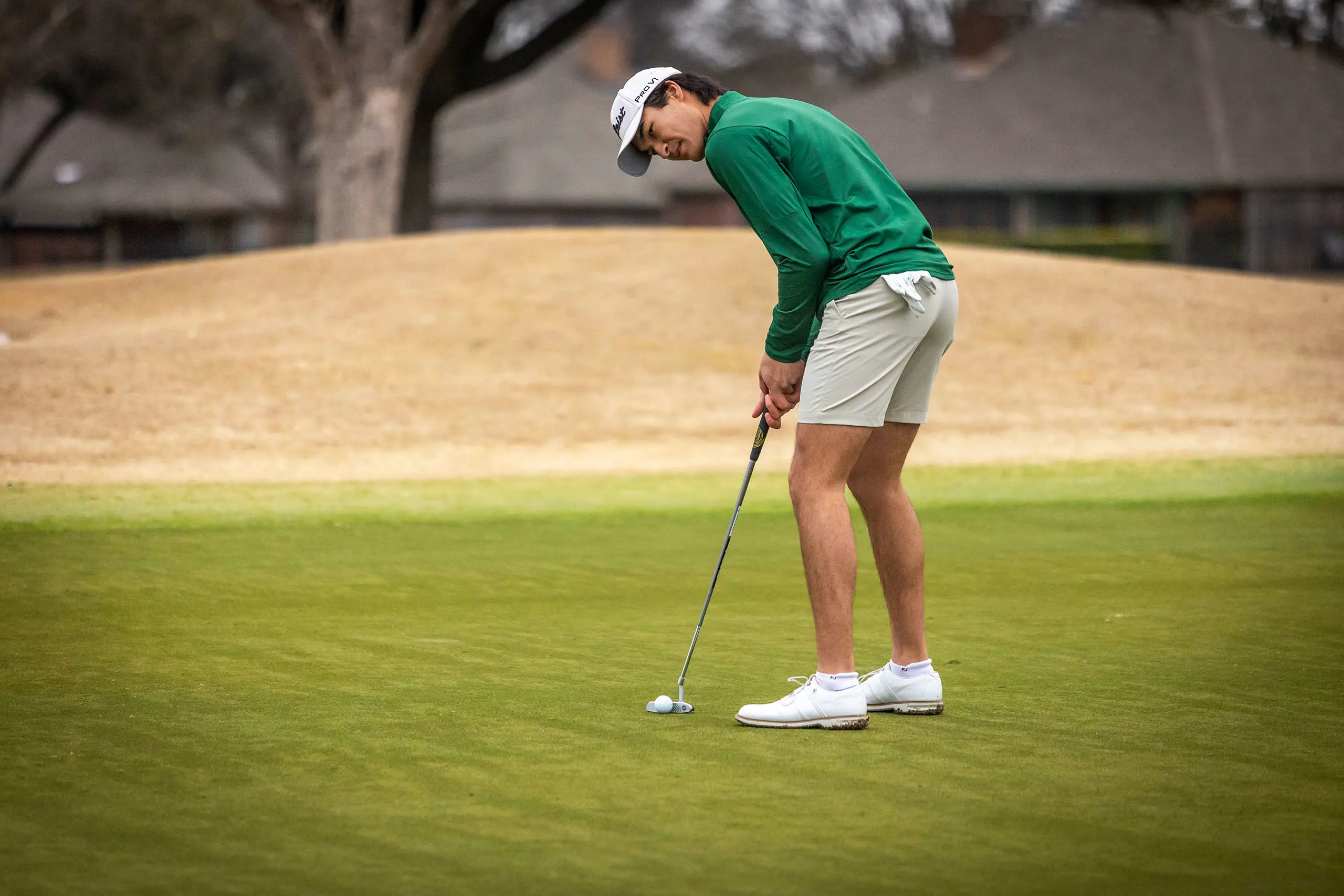 OptimizedImage,Optimized