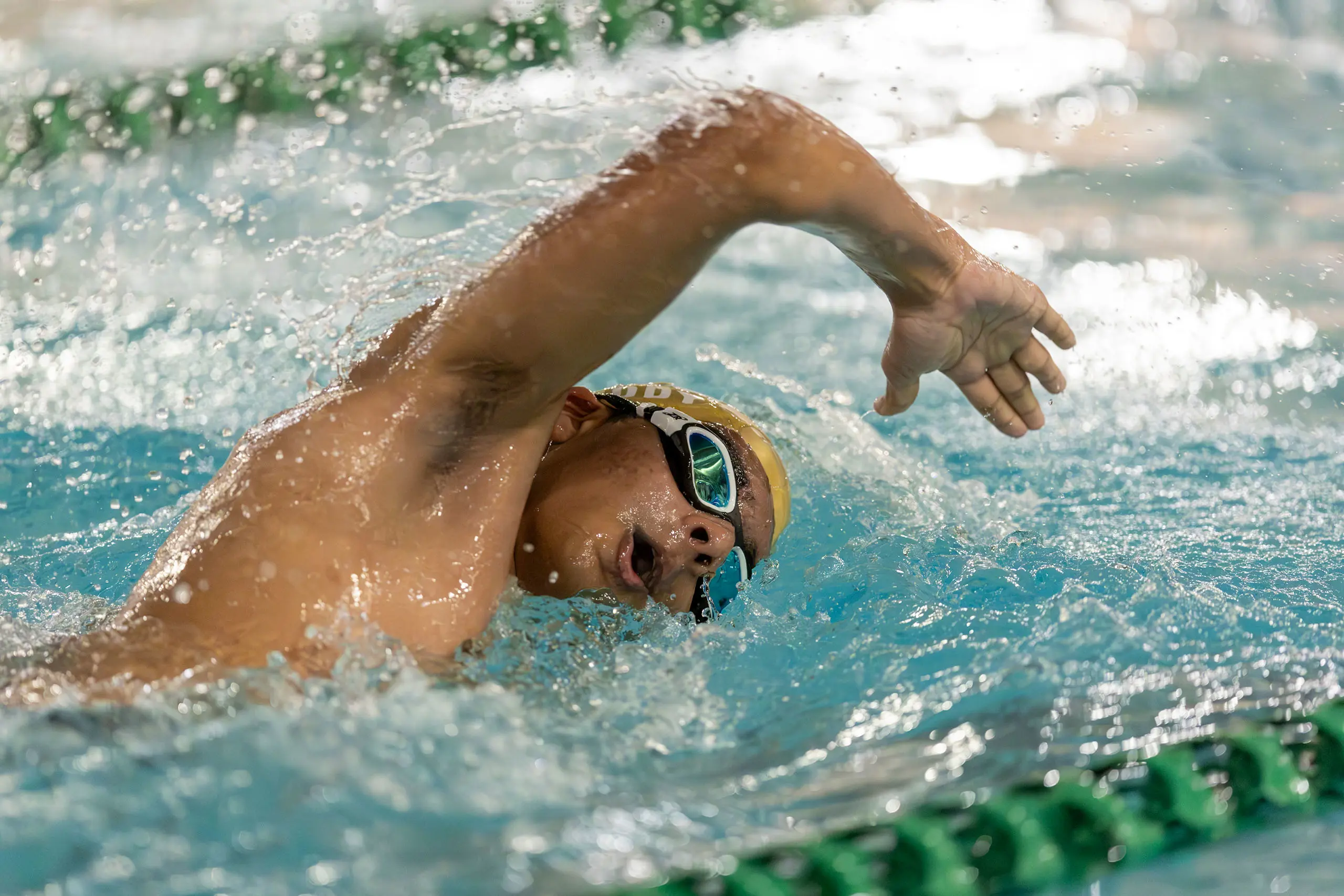 OptimizedImage,Optimized