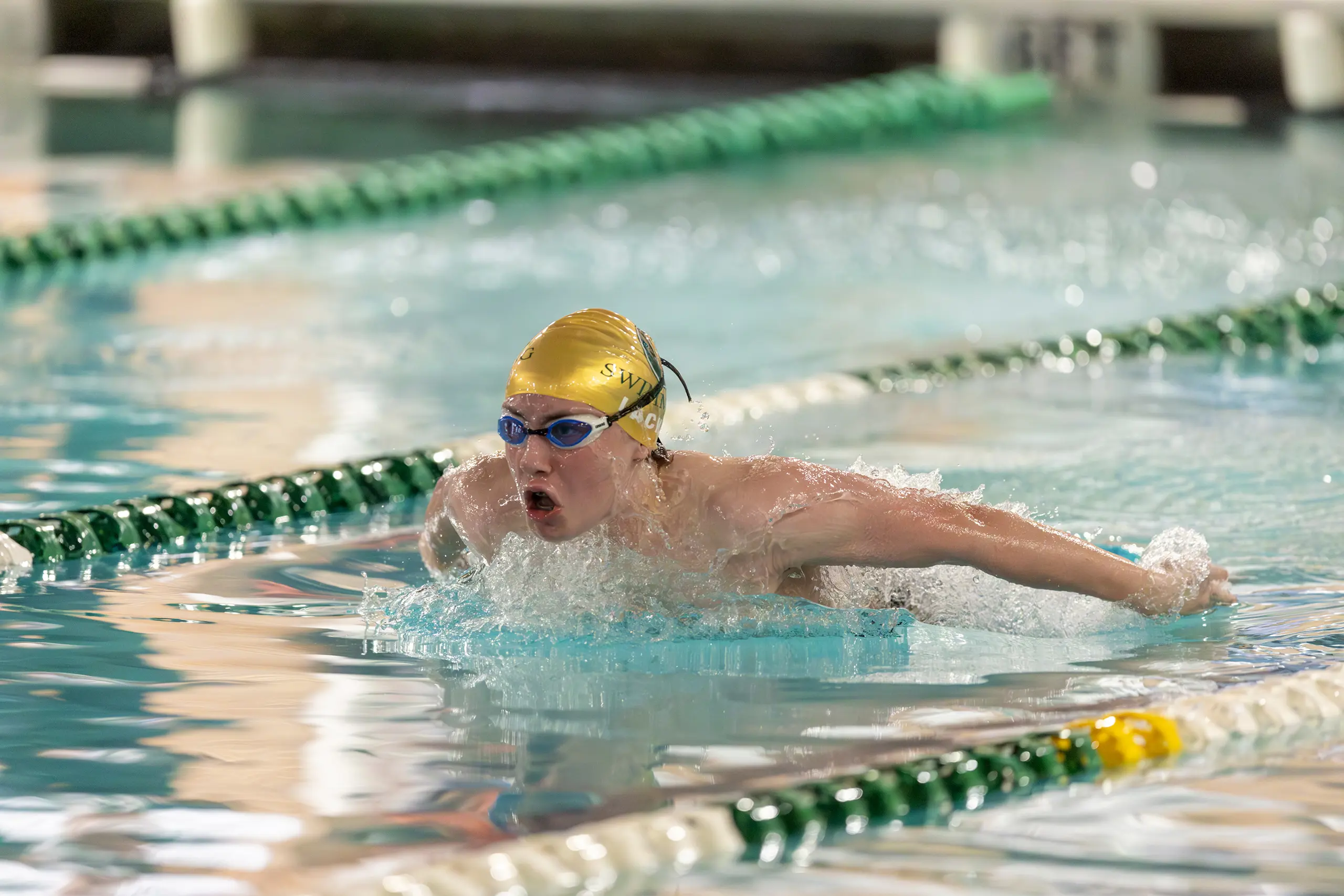 OptimizedImage,Optimized