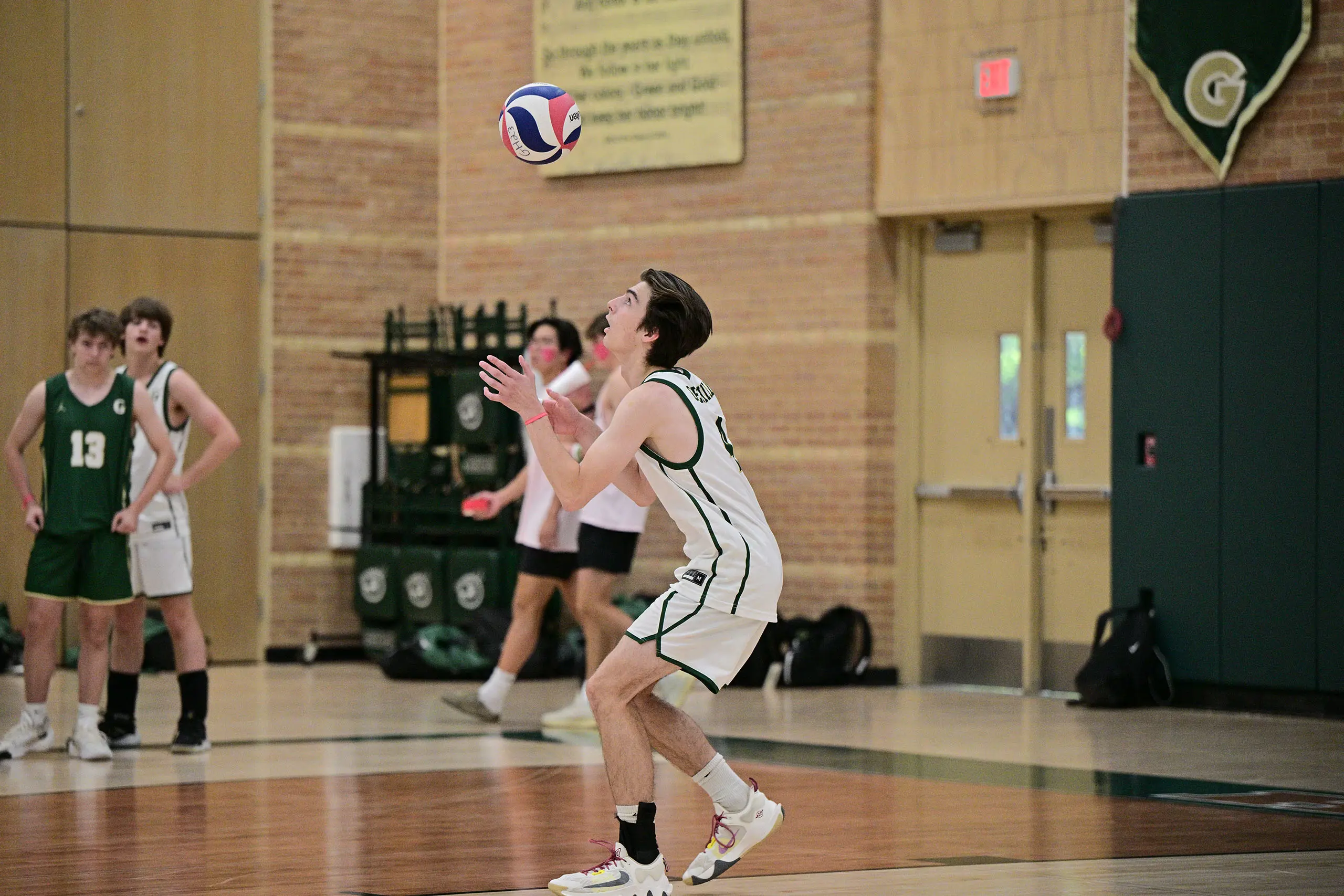 OptimizedImage,Optimized