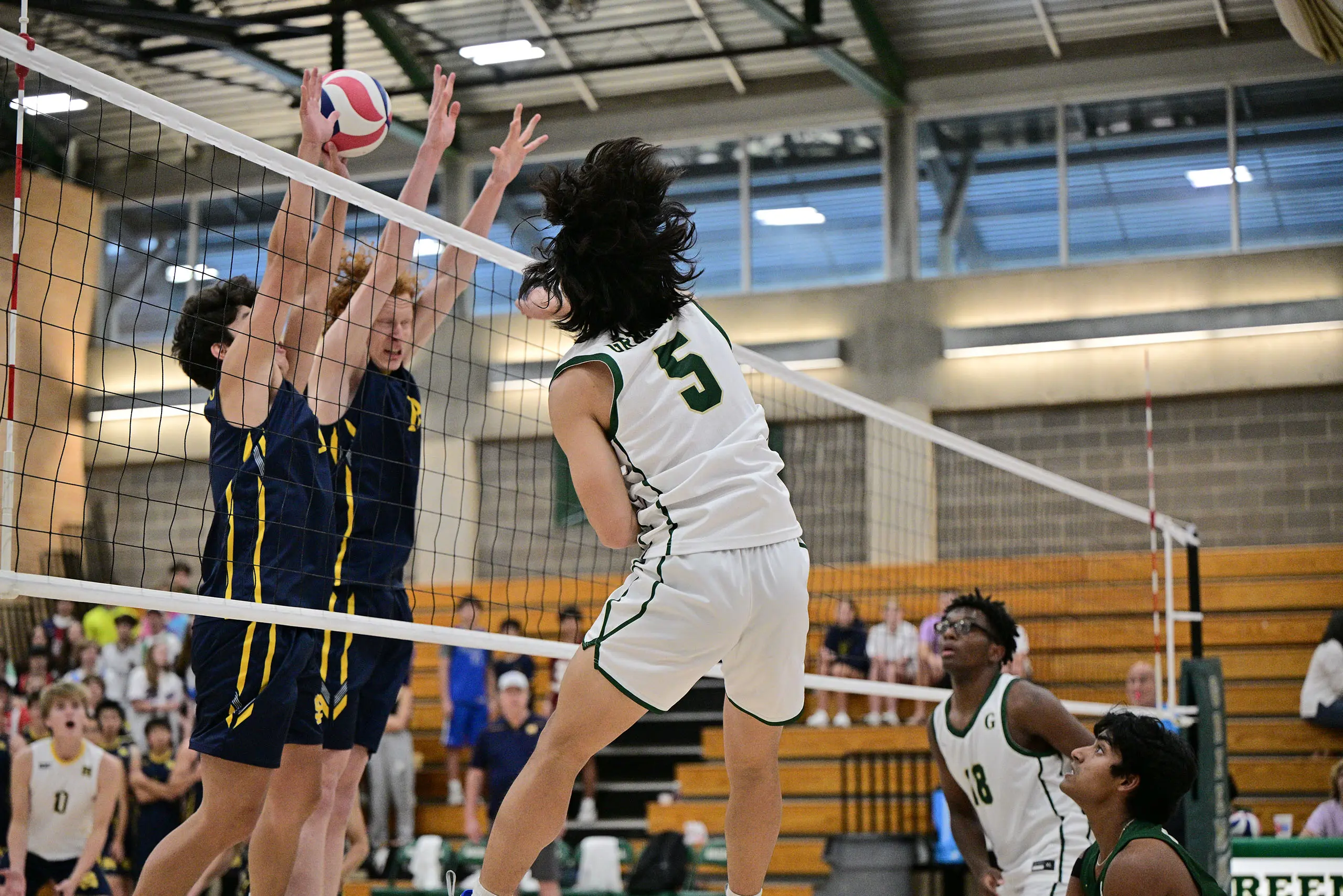 OptimizedImage,Optimized