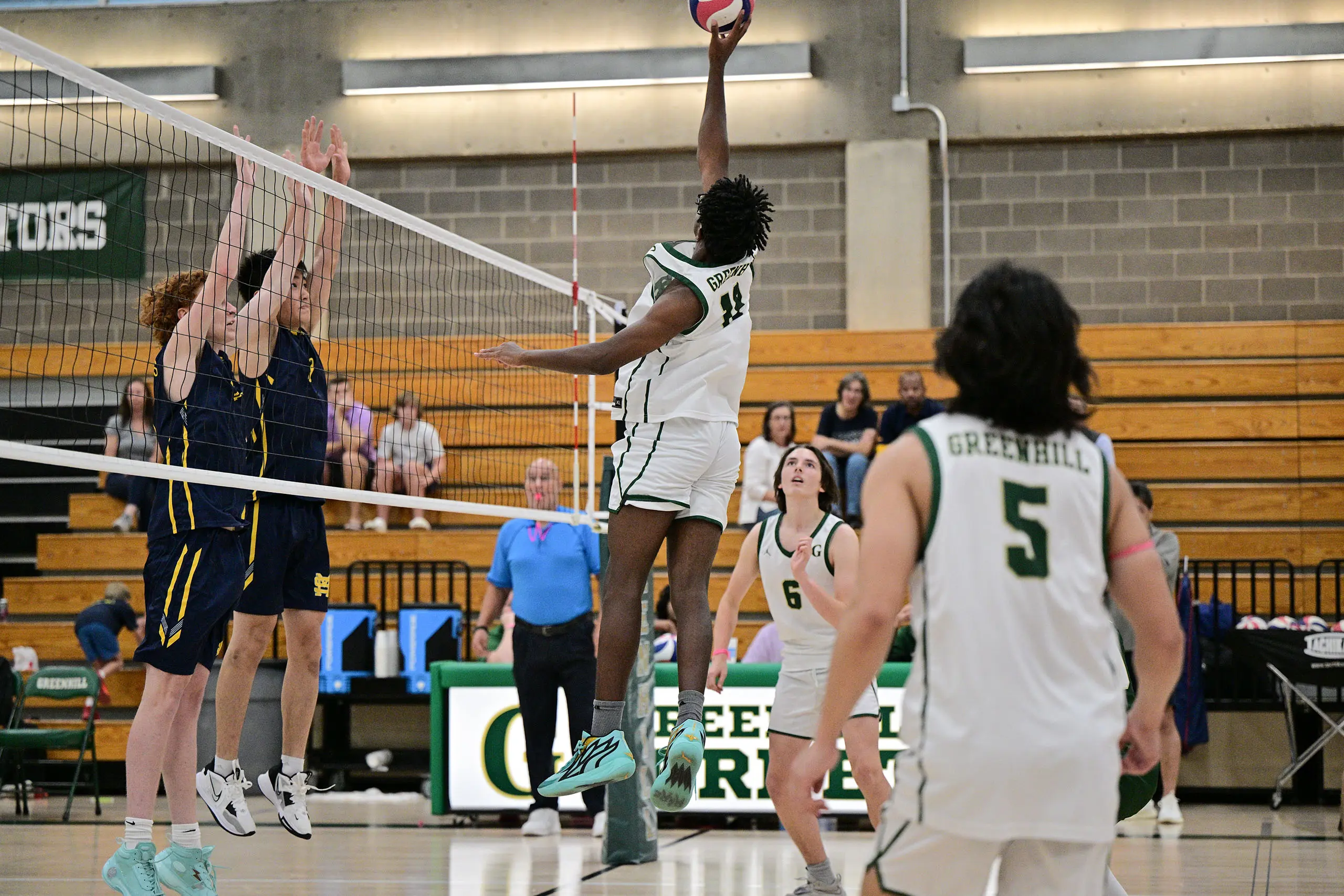 OptimizedImage,Optimized