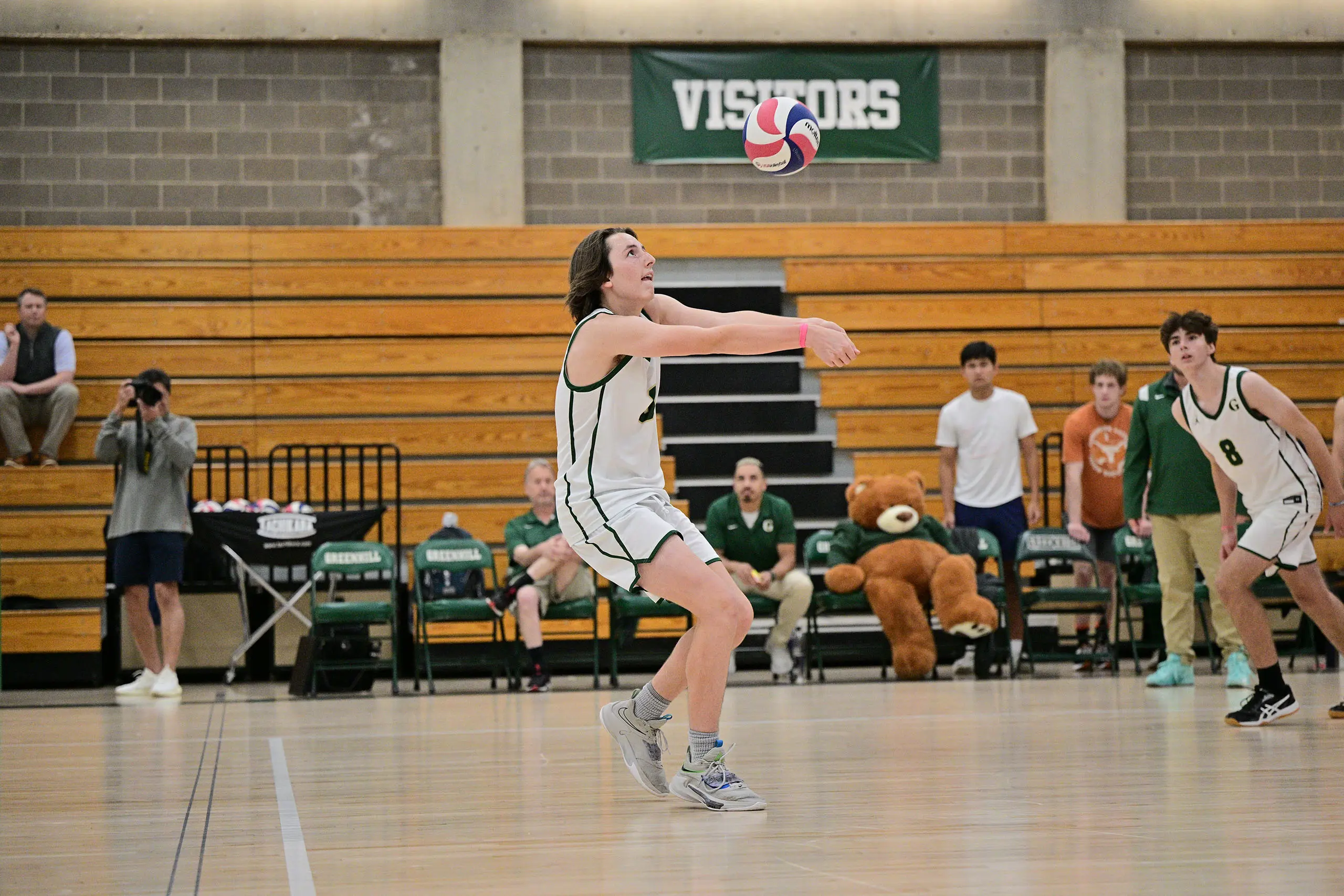 OptimizedImage,Optimized