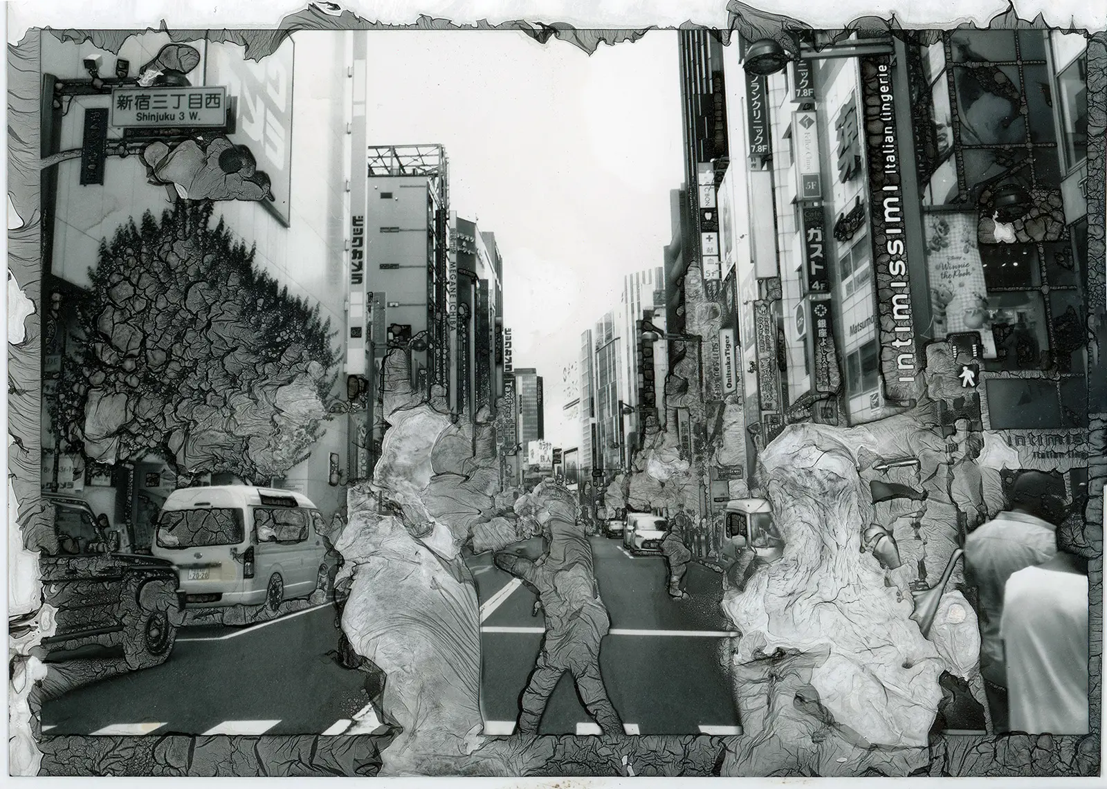  OptimizedImage,,,Optimized