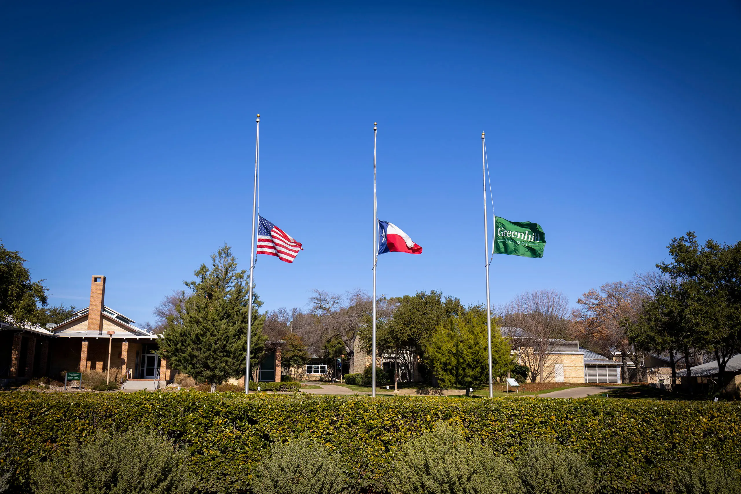 OptimizedImage,Optimized