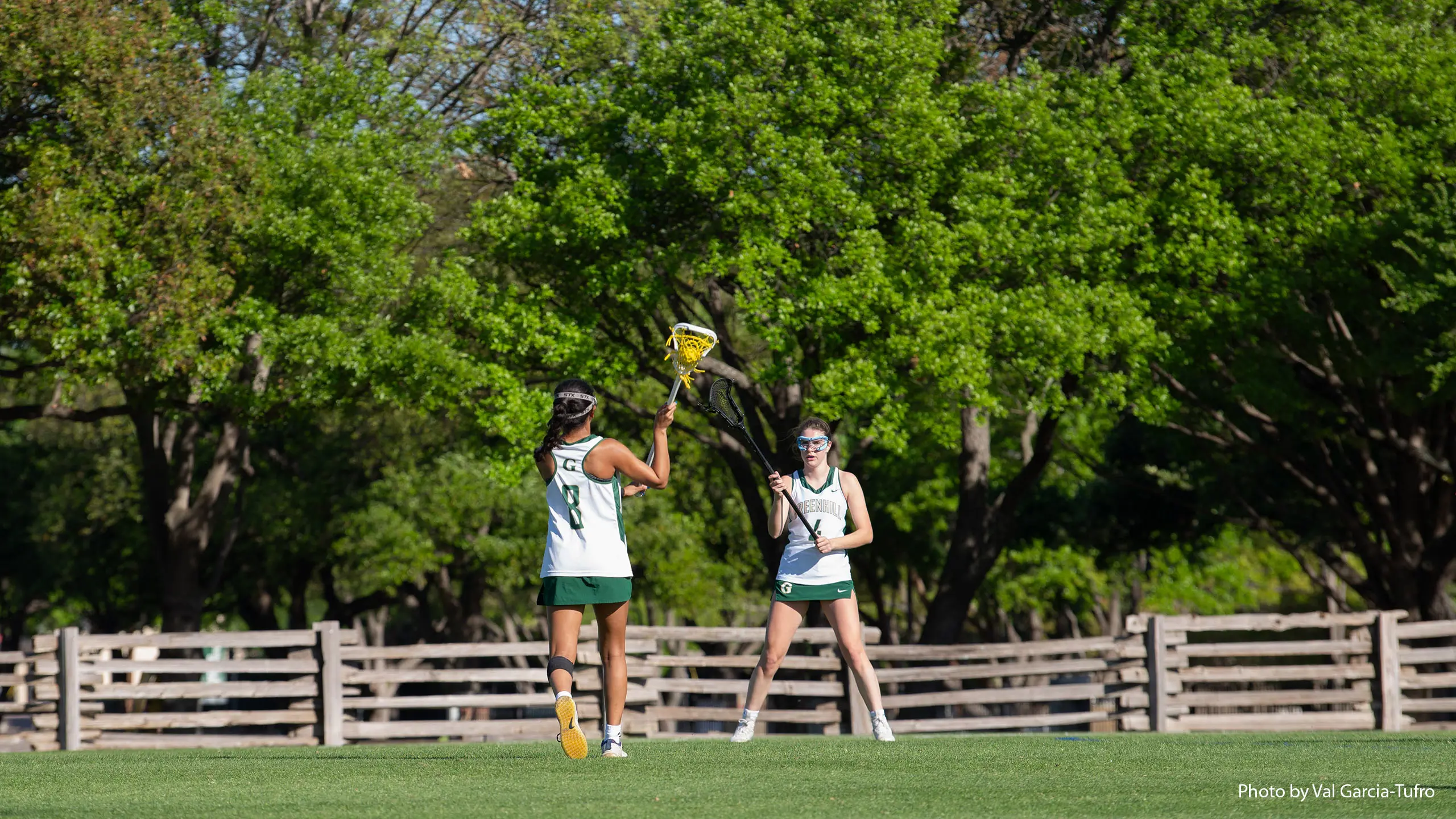 OptimizedImage,Optimized