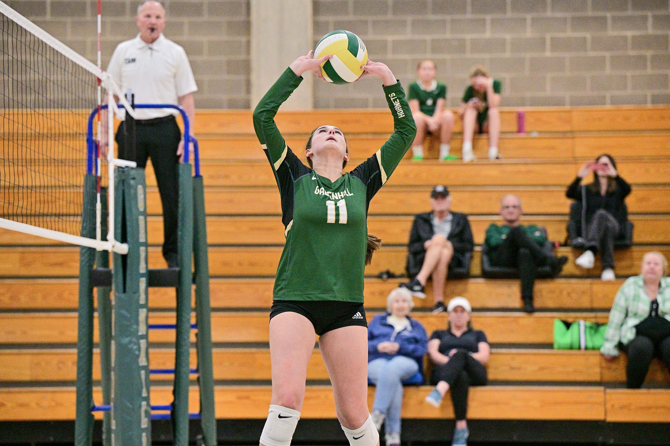 OptimizedImage,Optimized