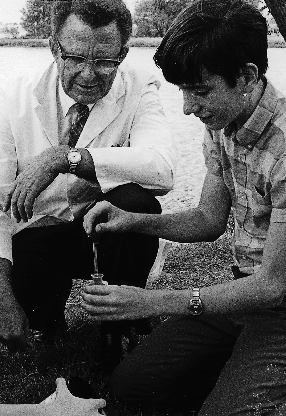 OptimizedImage,Optimized