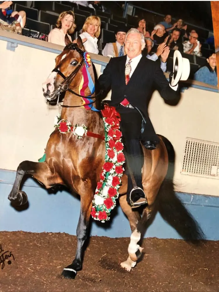 OptimizedImage,Optimized