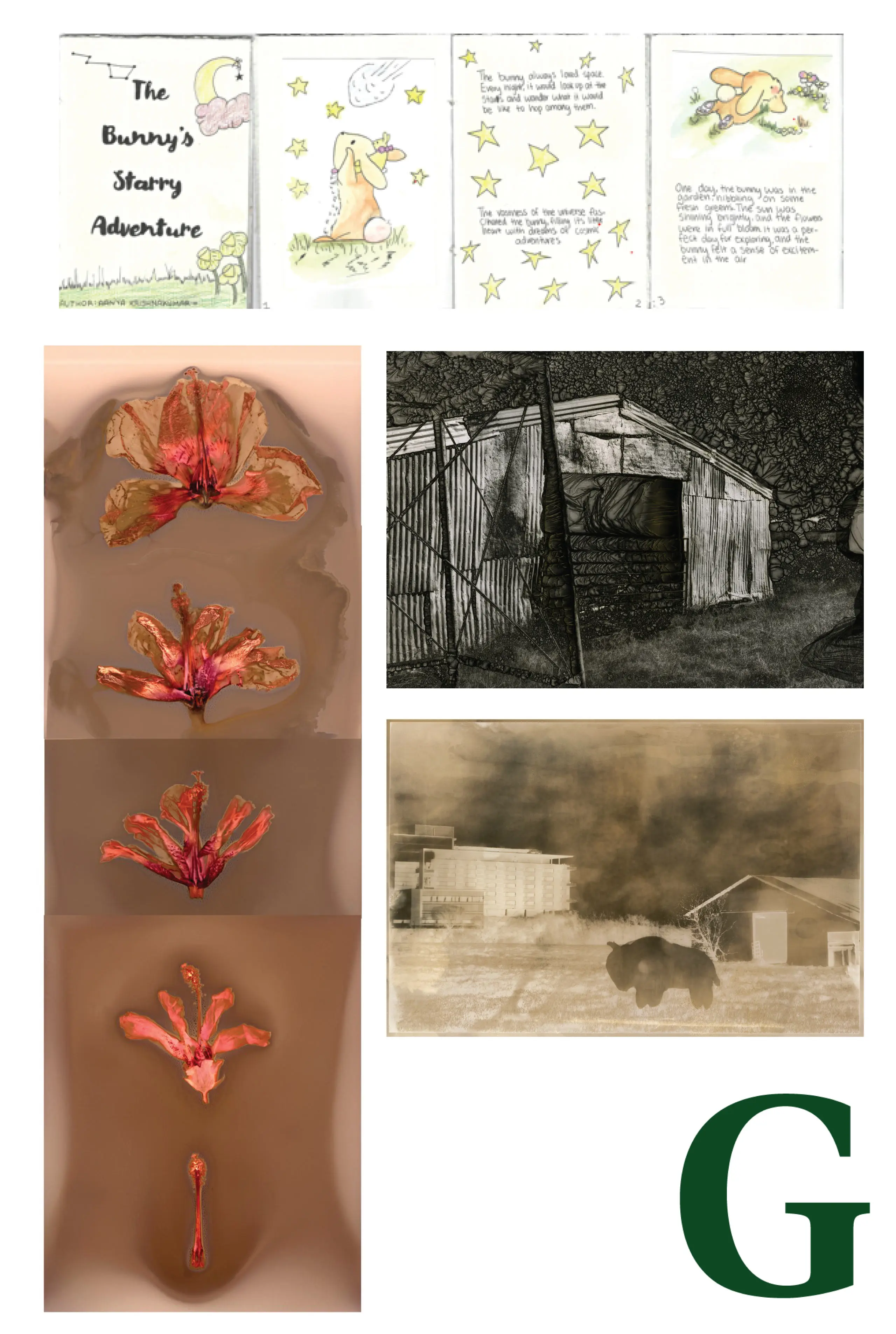 OptimizedImage,Optimized